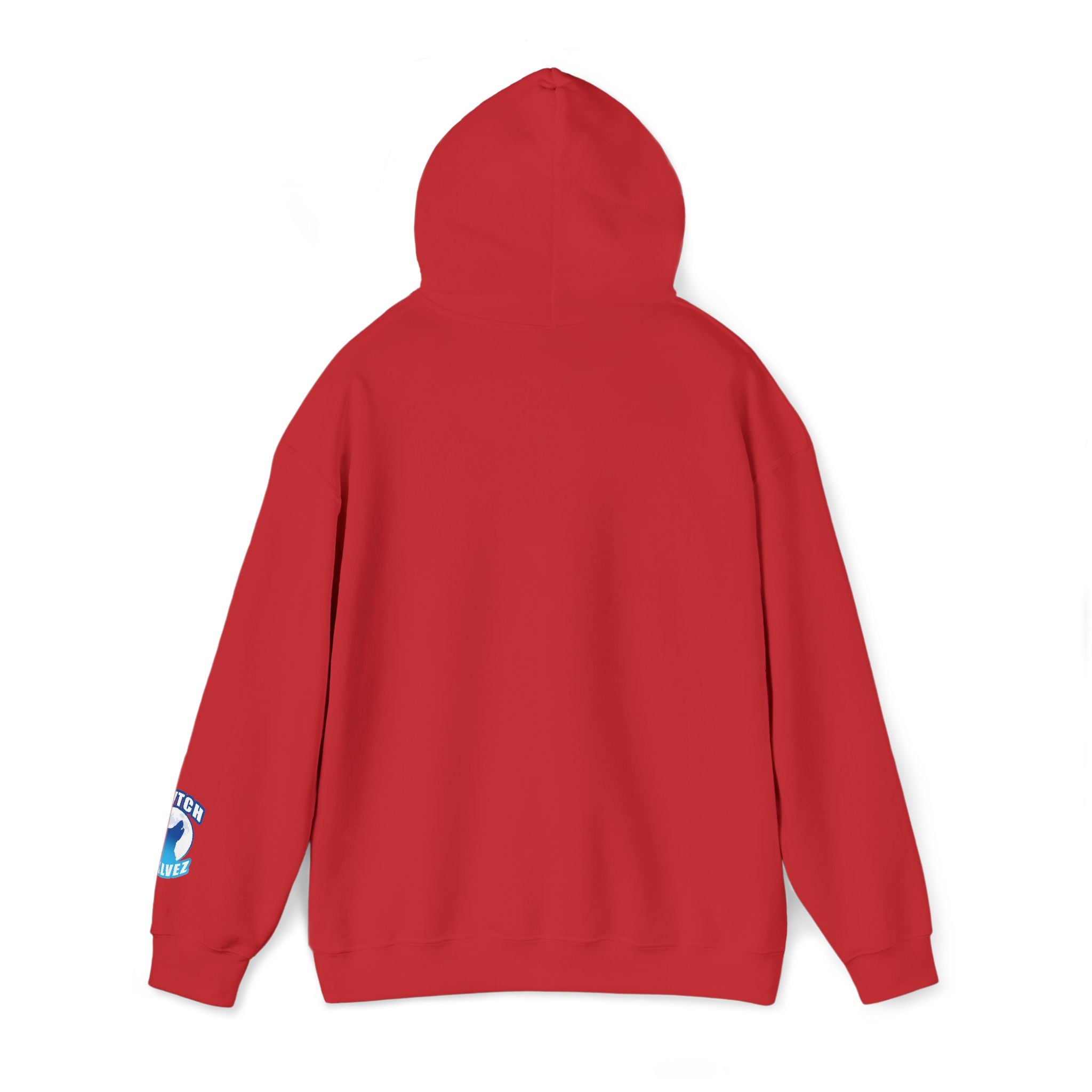 WVTCH WXLVEZ  DRIP HOODIE